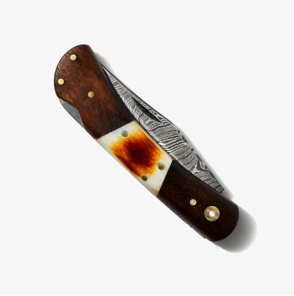 Walnut & Torched Bone Damascus Pocket Knife - TK-415